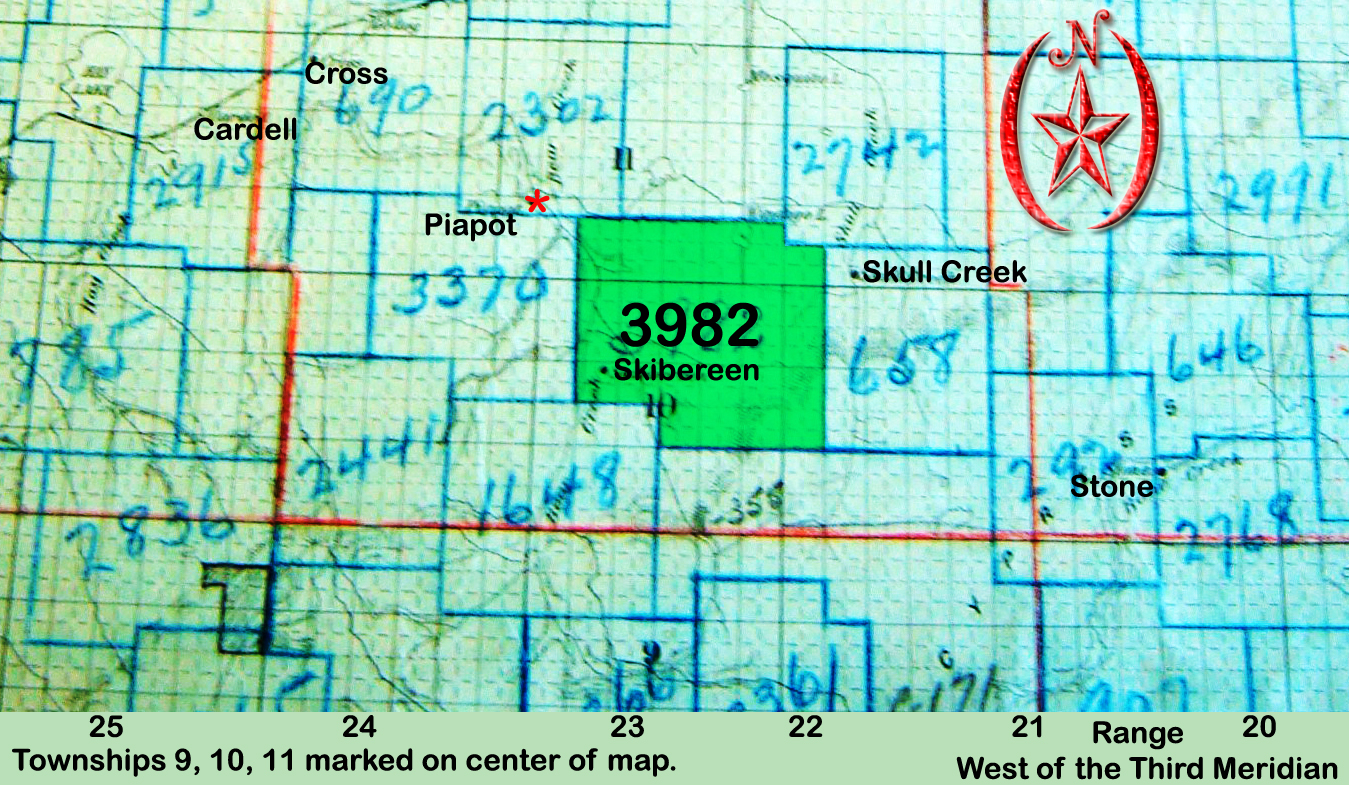 Map of Petain School District 3982 near Piapot, Skibereen and Dryforks, Saskatchewan